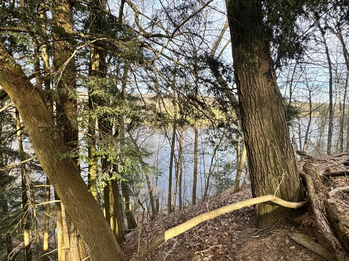 V/L S Teal Lane, Newaygo, MI 49337 - #1