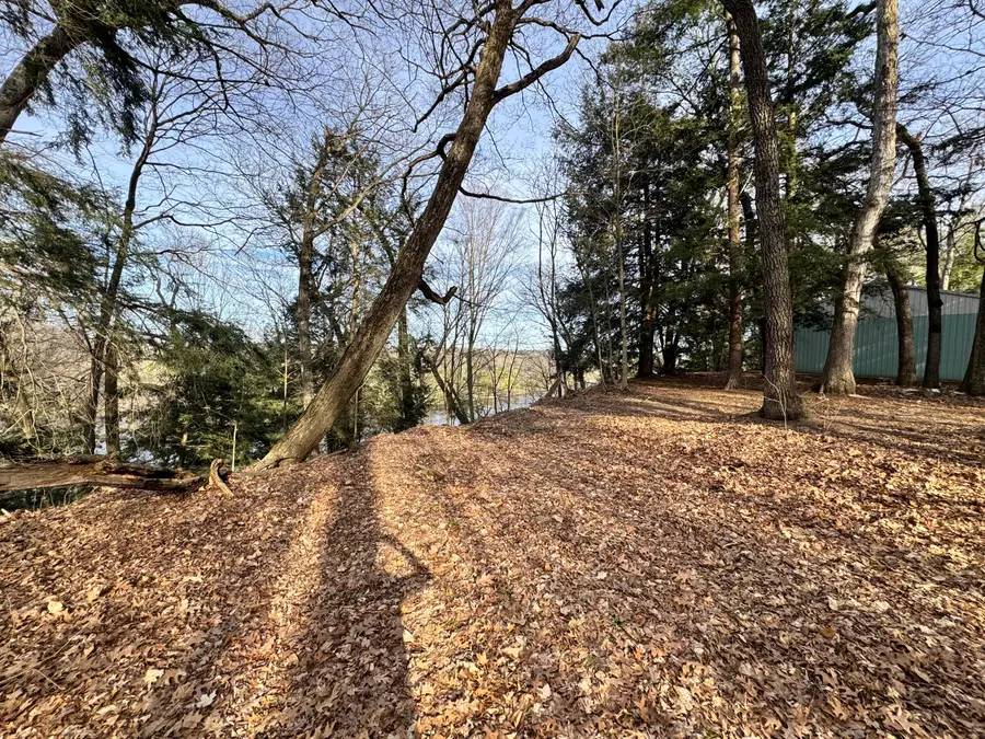 V/L S Teal Lane, Newaygo, MI 49337 - #2