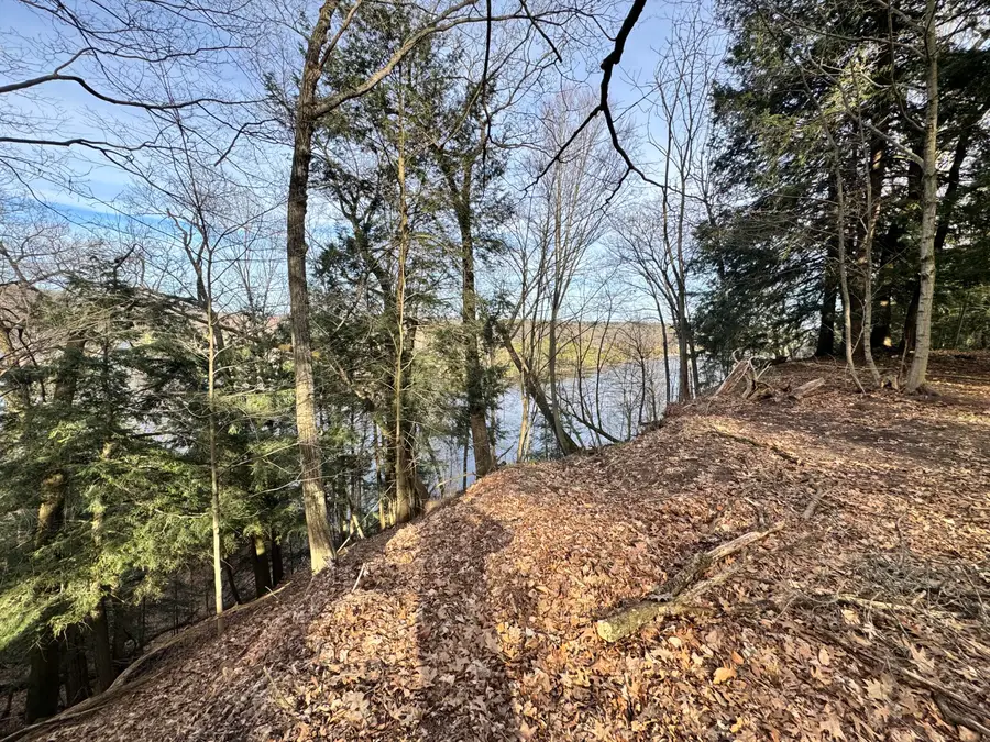 V/L S Teal Lane, Newaygo, MI 49337 - #3