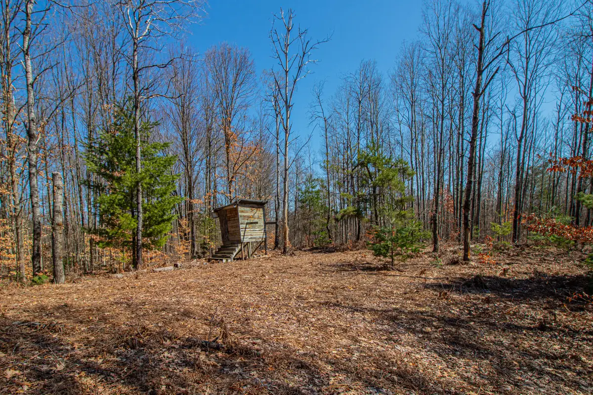 3069 E Monroe Street, White Cloud, MI 49349 - #1