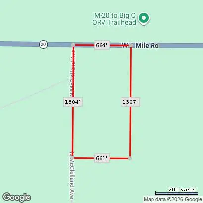 1950 W 1 Mile Road, White Cloud, MI 49349 - #3