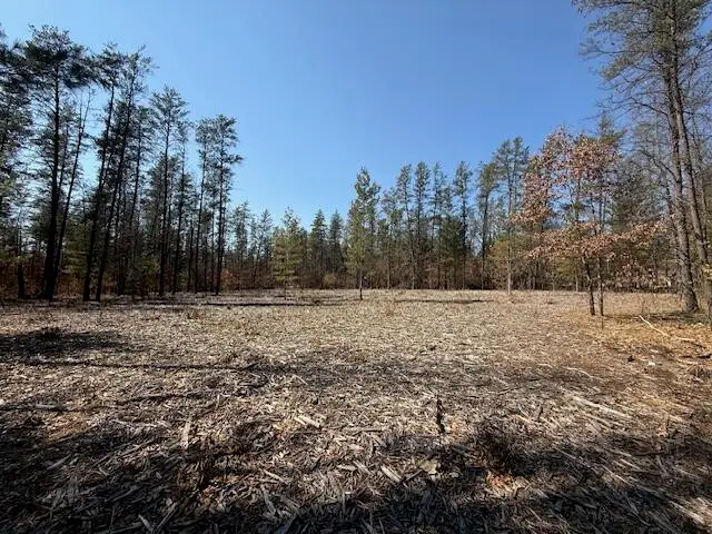 5209 S Nelson Road, Idlewild, MI 49642 - #1