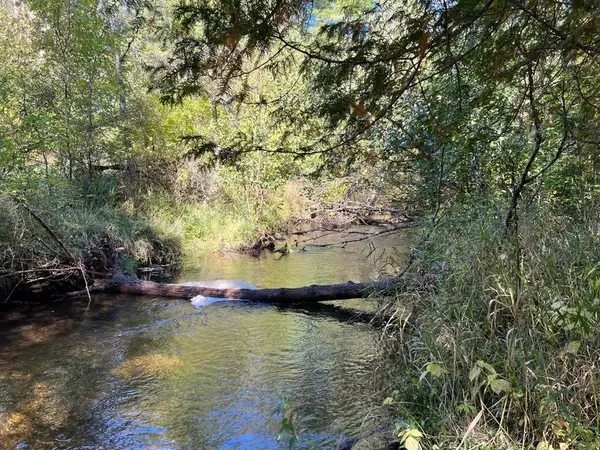 VL E Alpine, Luther, MI 49656