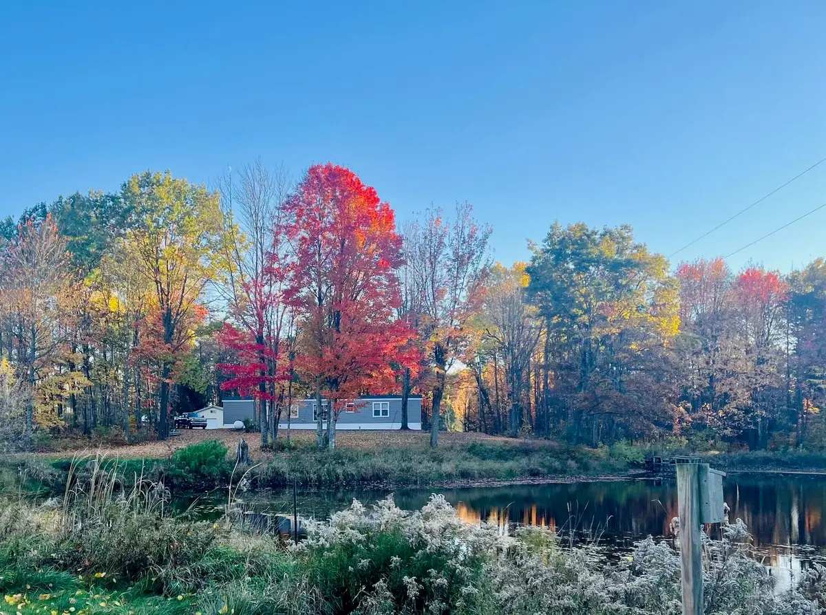 14321 N Chestnut Avenue, Reed City, MI 49677 - #1