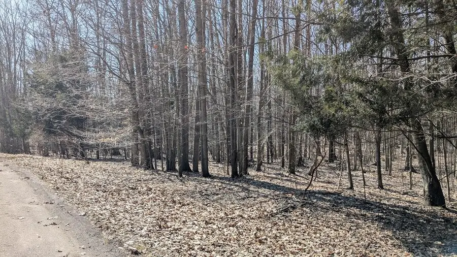 Opal Ridge Drive #68, Onekama, MI 49675 - #2