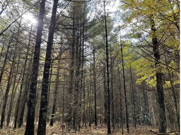 6159 S Forman Road, Baldwin, MI 49304