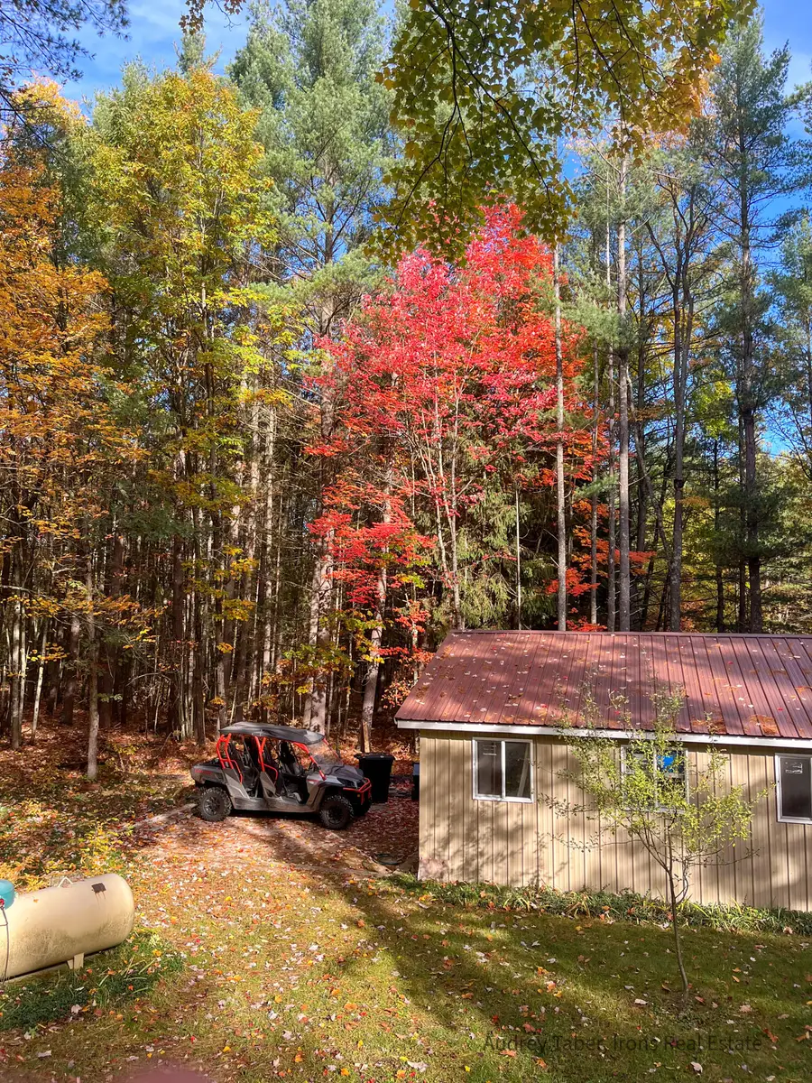 674 N Michigan Avenue, Wellston, MI 49689 - #2