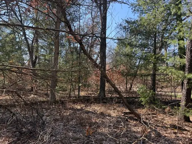 VL Erie Street, Baldwin, MI 49304 - #1