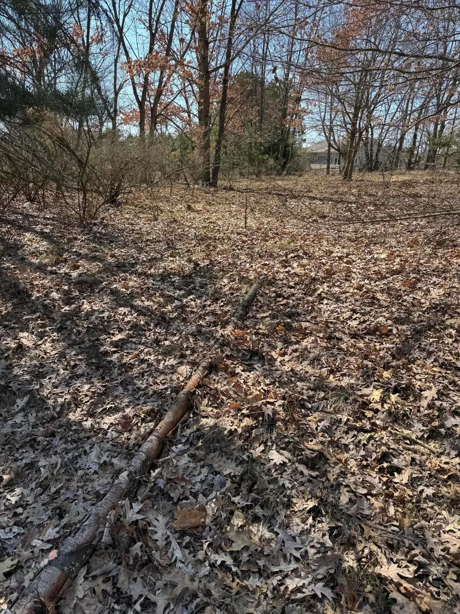 11472 Short Street, Stanwood, MI 49346 - #3