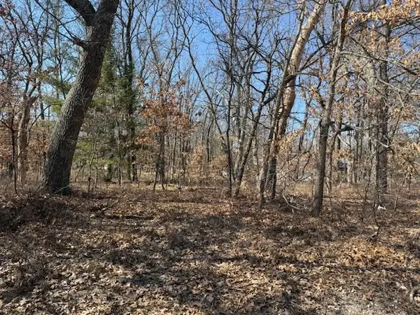 VL S Arrowhead Trail, Baldwin, MI 49304