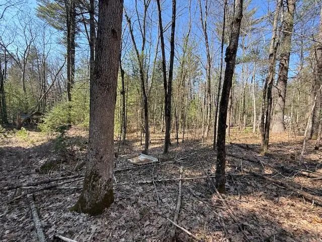 VL S Pershing Road, Baldwin, MI 49304 - #1