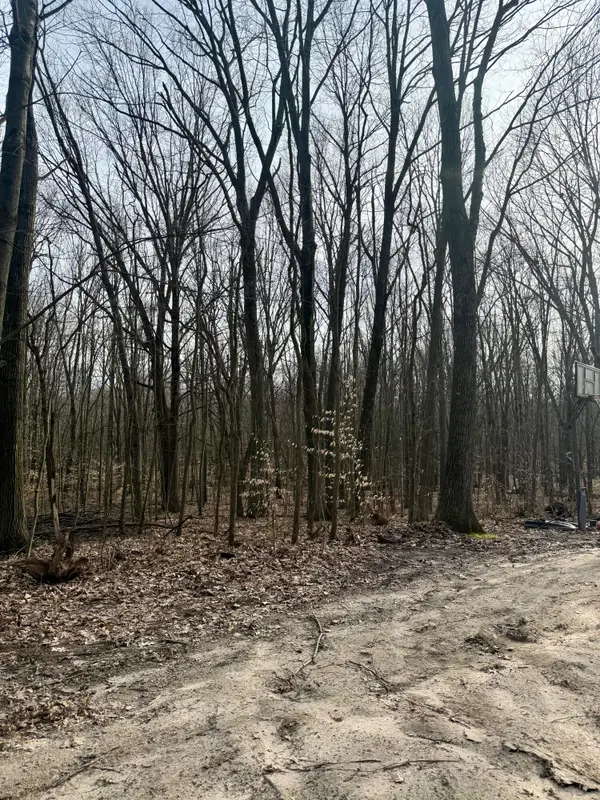 V/l Sycamore Street, Grand Junction, MI 49056