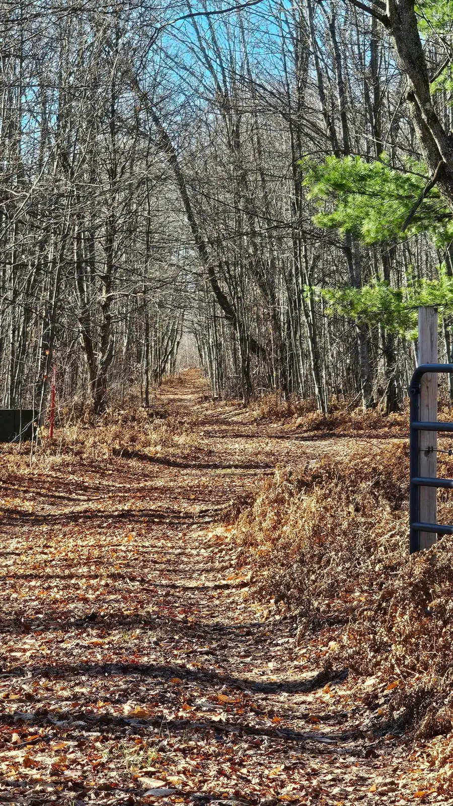 1621 Baker Road Ne, Kalkaska, MI 49646 - #2