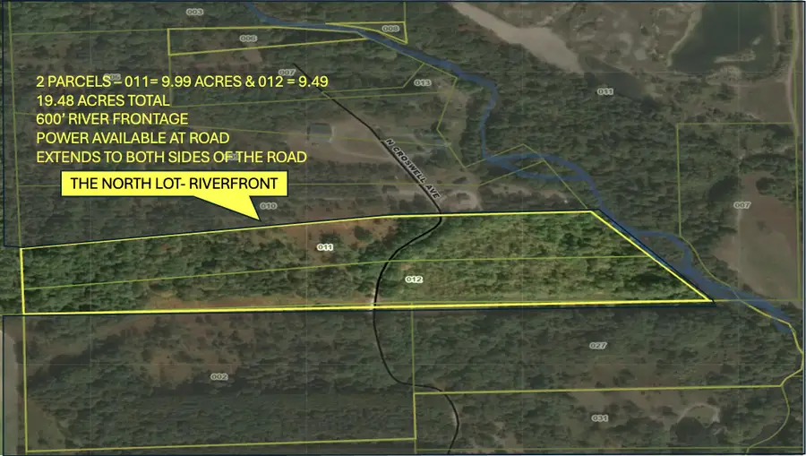 N Croswell Avenue, White Cloud, MI 49349 - #2