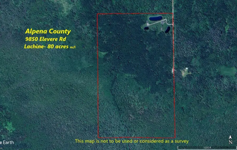 9850 Elevere Road, Lachine, MI 49753 - #2