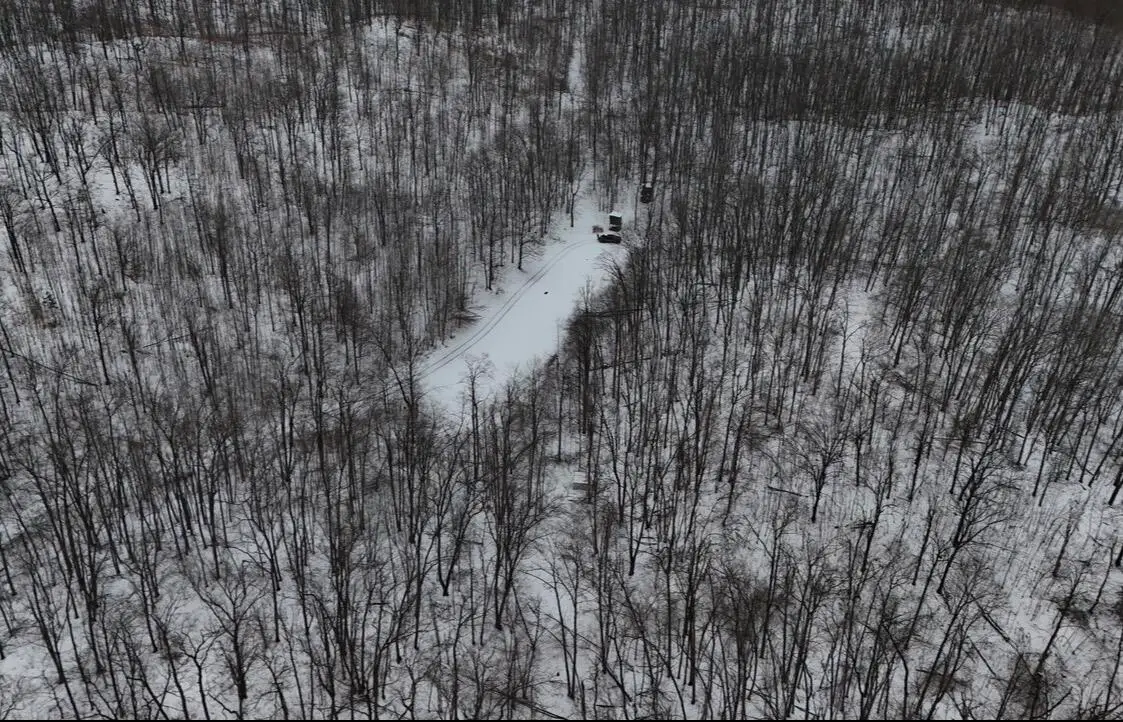 Tower Rd Road, Curran, MI 48728 - #1