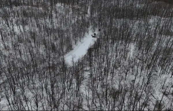 Tower Rd Road, Curran, MI 48728