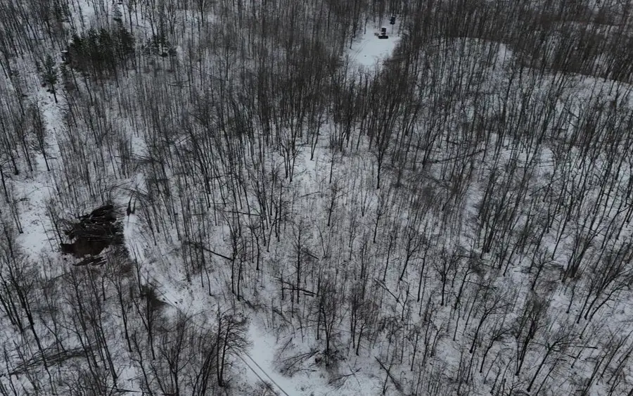 Tower Rd Road, Curran, MI 48728 - #2