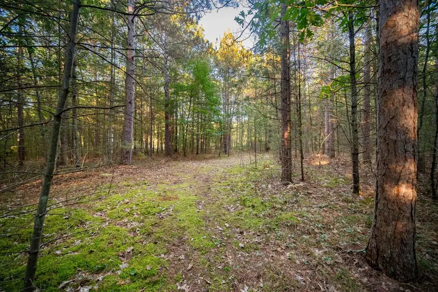 North Wildwood Road, Manistee, MI 49660 - #2