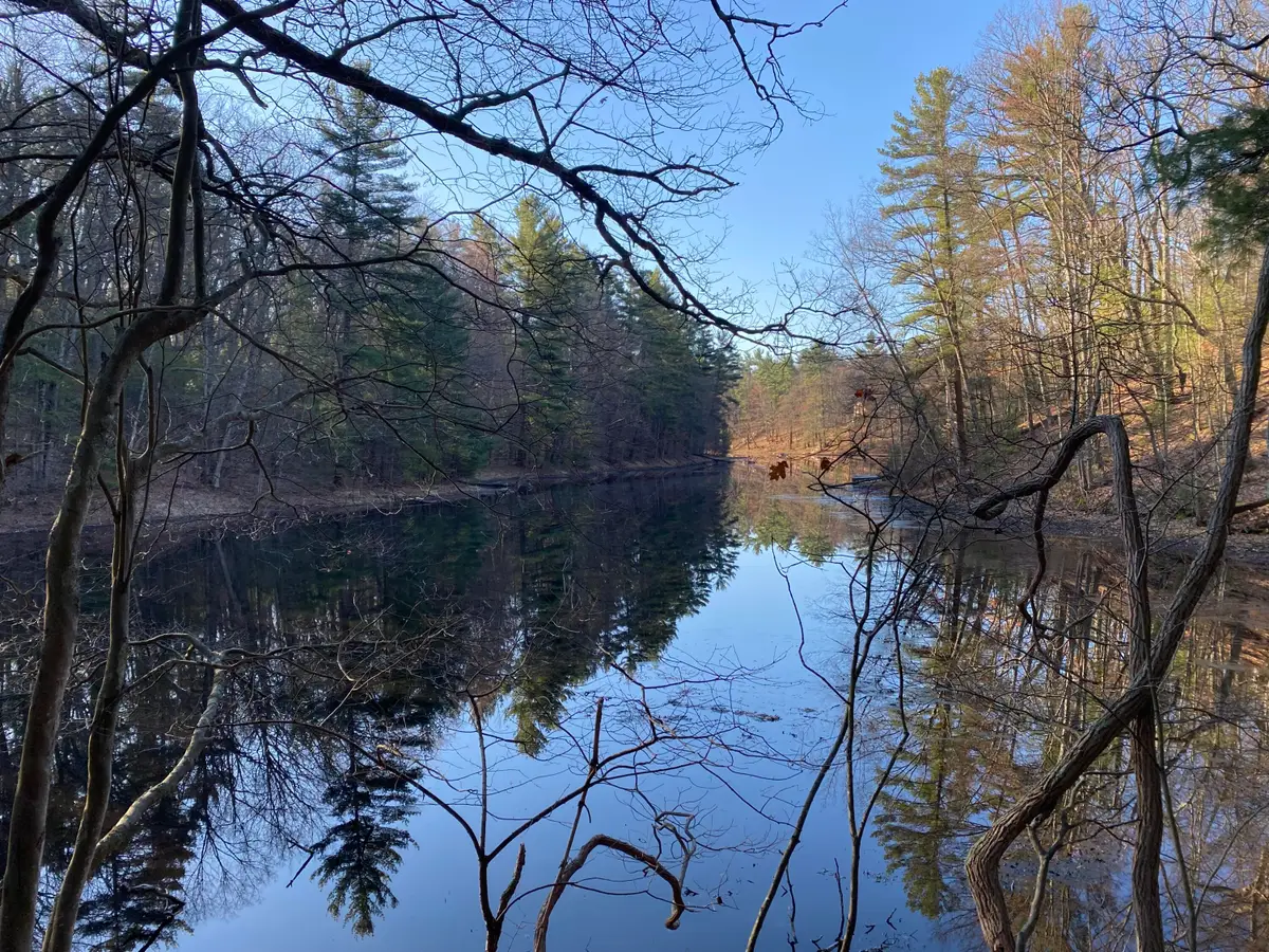 VL Mill Pond Trail, Whitehall, MI 49461 - #1