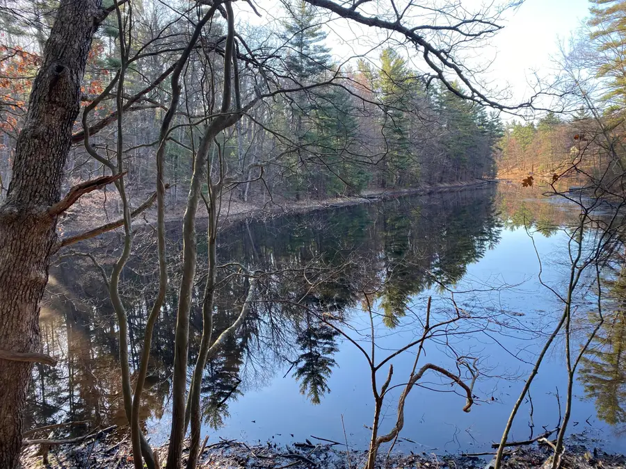 VL Mill Pond Trail, Whitehall, MI 49461 - #2