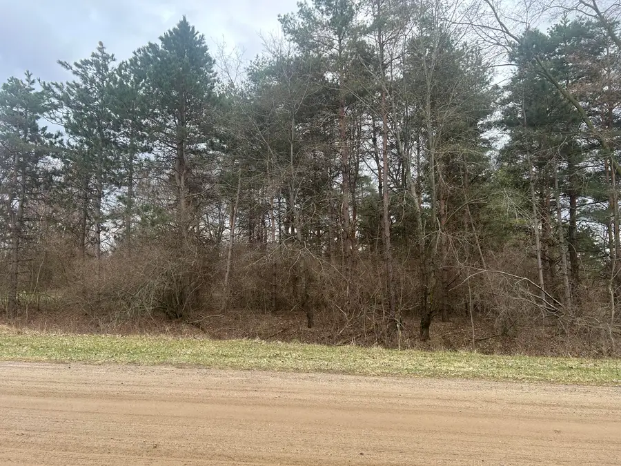 W Ranger Road #119 lot, Perrinton, MI 48871 - #2