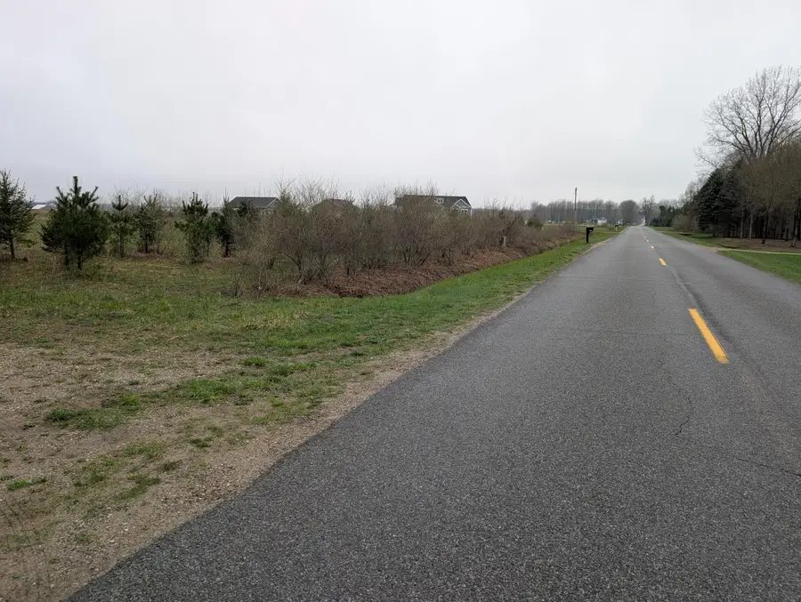 0- Blair Street, Zeeland, MI 49464 - #2