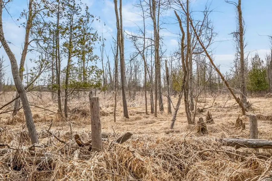 V/L 10A 120th Ave, Hart, MI 49420 - #3