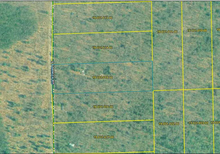 11206 S Forman Road, Idlewild, MI 49642 - #2