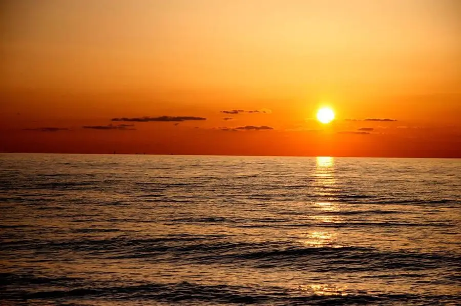 13791 Peach Street, Harbert, MI 49115 - #2