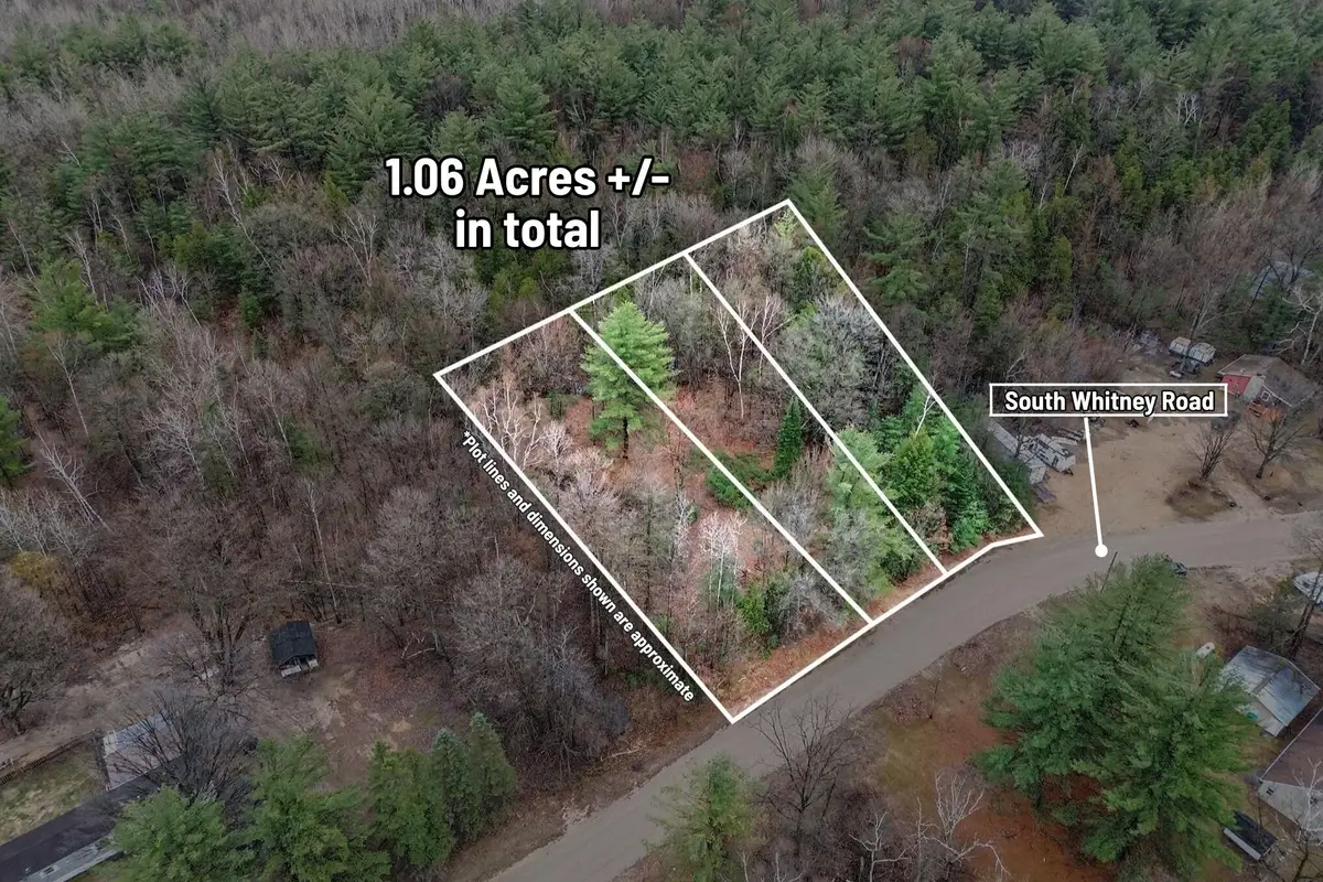 1652 S Whitney Road, Beaverton, MI 48612 - #1