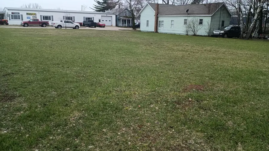 102 W Dowland Street, Ludington, MI 49431 - #3