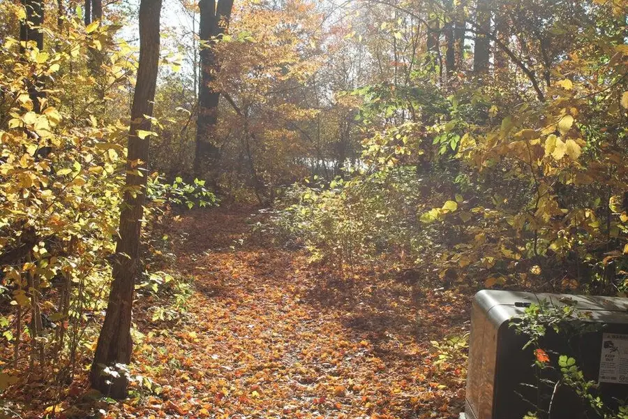 Vl Lake Drive #Lot 174/175, Allegan, MI 49010 - #2