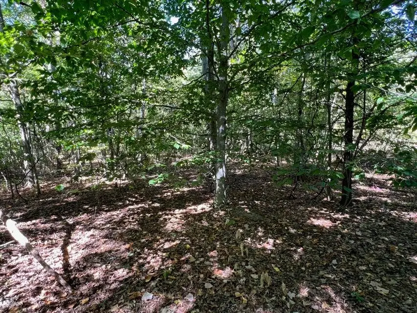 Vl Lake Drive #Lot 174/175, Allegan, MI 49010 - #3
