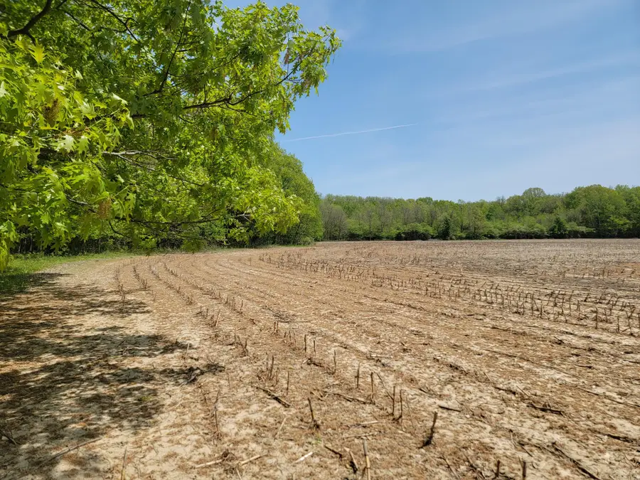 Leonard Road, Nunica, MI 49448 - #3