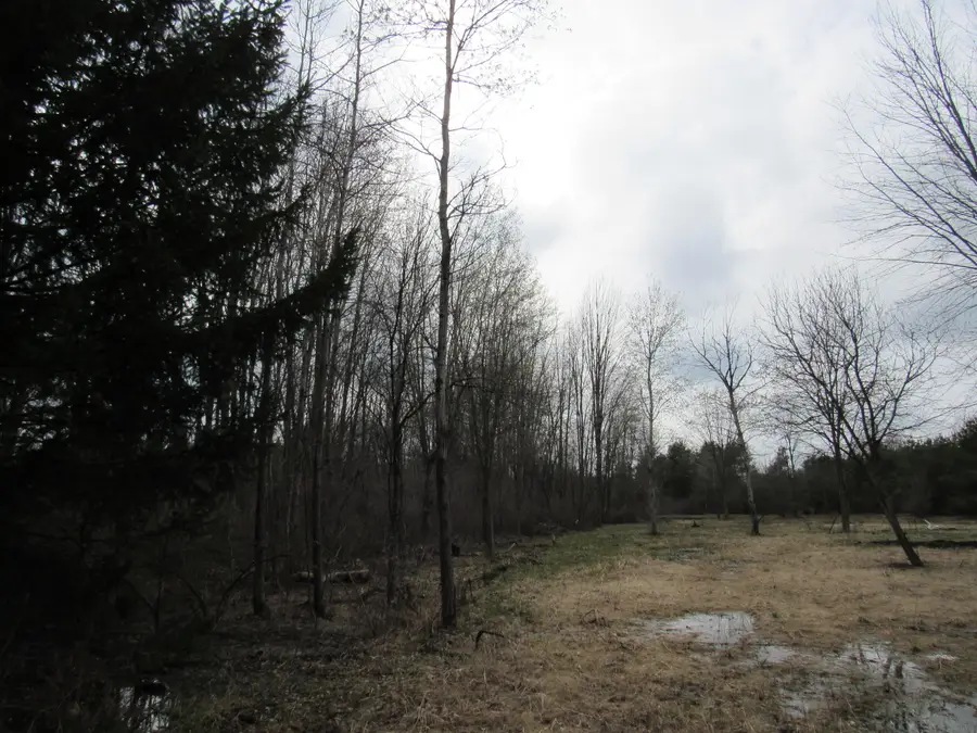 3889 Dalson Road, Twin Lake, MI 49457 - #3