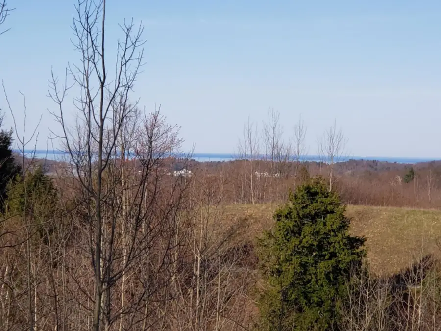 Eagle Ridge Circle #Lot 103, Onekama, MI 49675 - #2