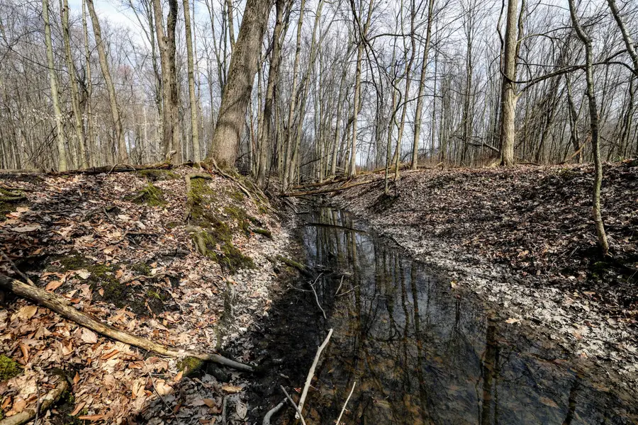 VL 40th Street, Bloomingdale, MI 49026 - #3