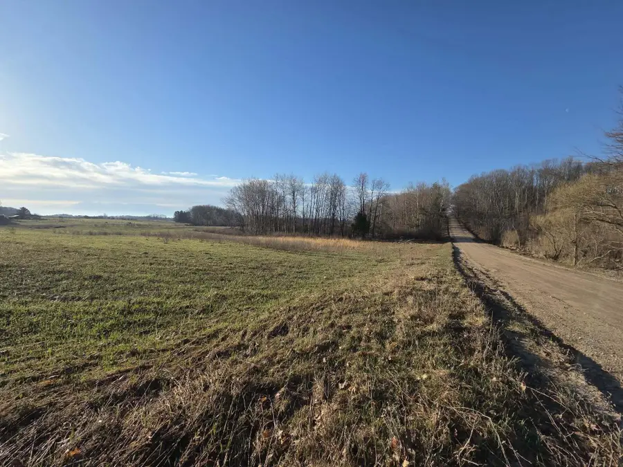 VL W Arthur Road, Rothbury, MI 49452 - #3