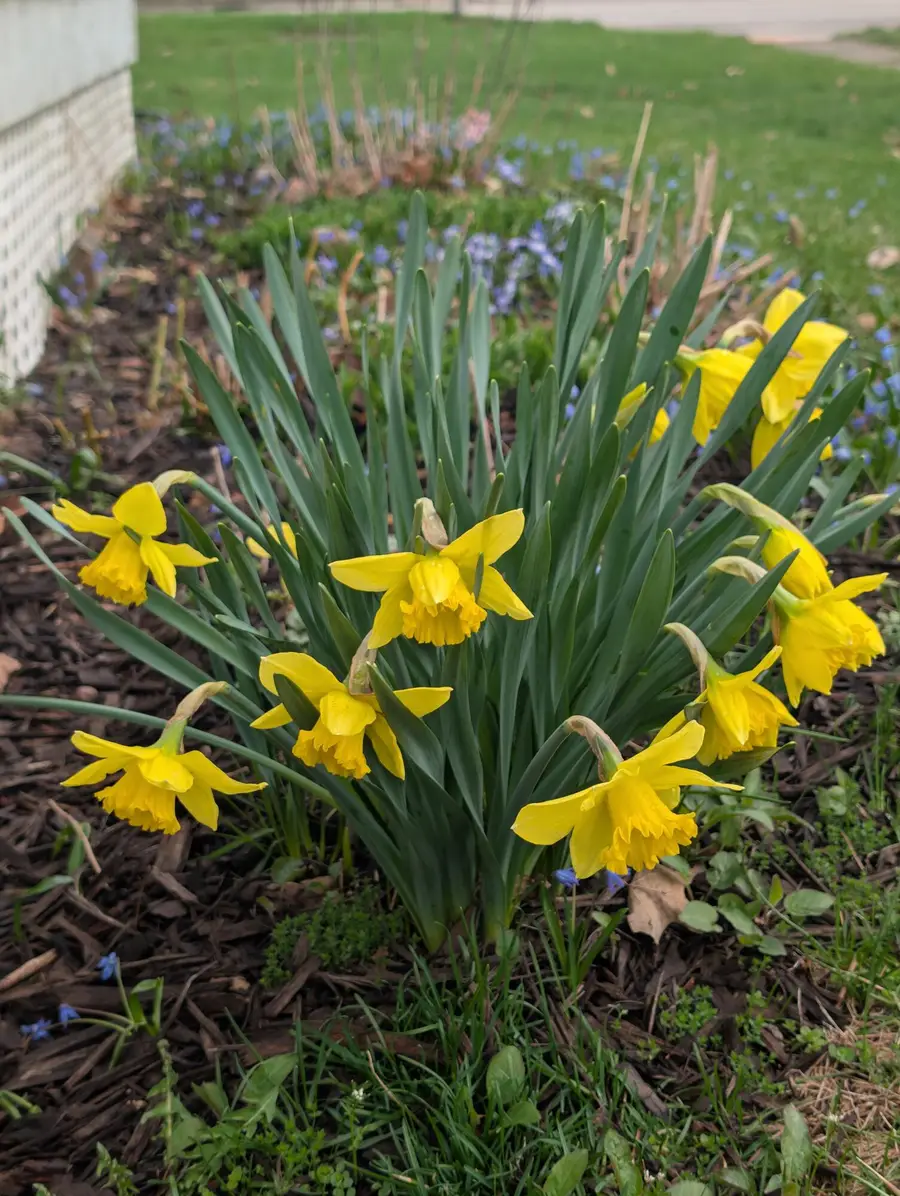 301 W Washington Street, Greenville, MI 48838 - #3