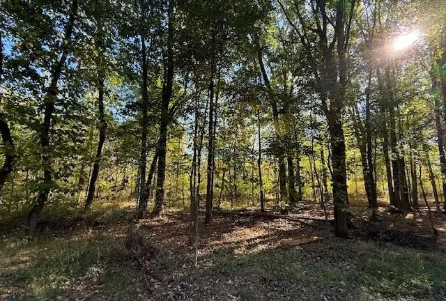 VL Doster Road, Lot#wp001, Plainwell, MI 49080 - #2