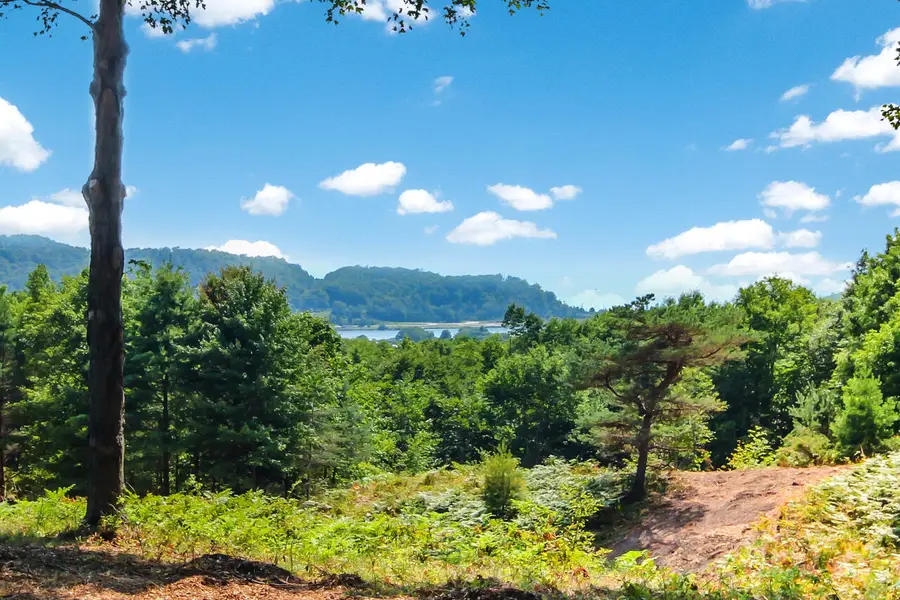 0000 Day Avenue, Frankfort, MI 49635 - #2