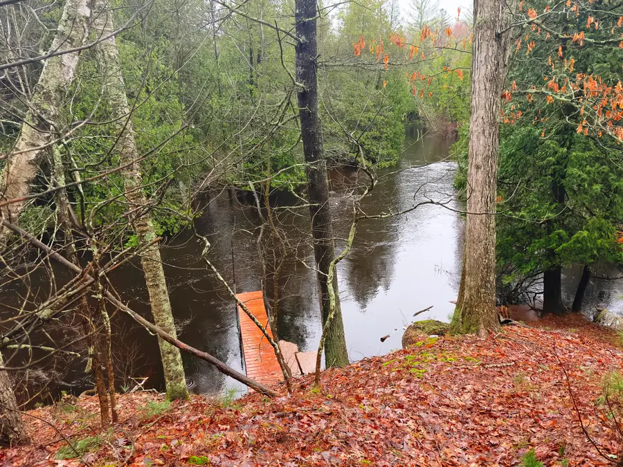 10190 W River Road, Irons, MI 49644 - #2