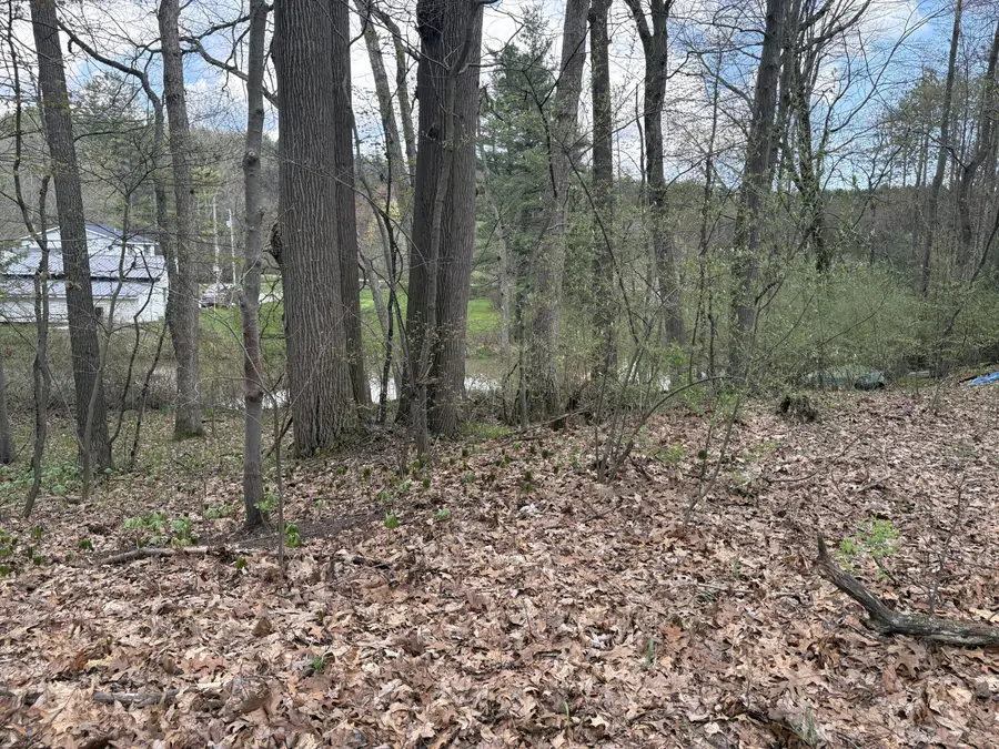 8091 Poplar Drive, Reading, MI 49274 - #3