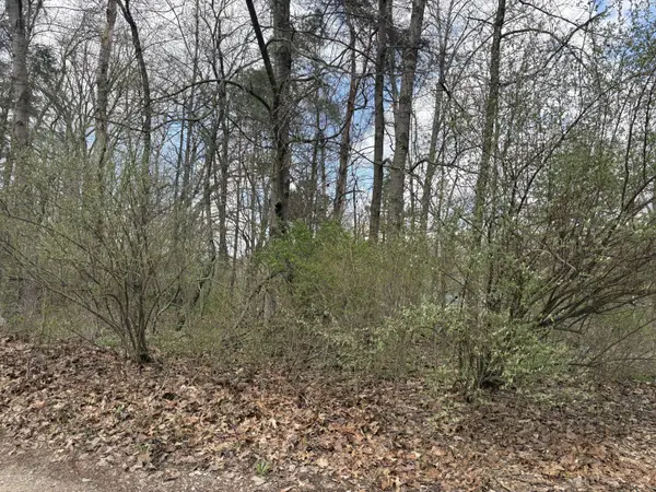 8113 Poplar Drive, Reading, MI 49274