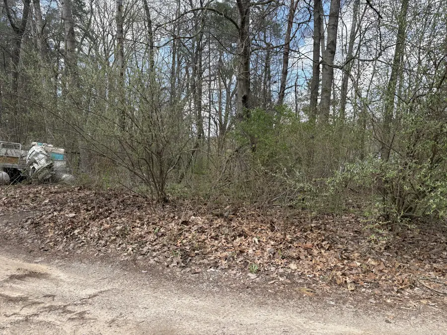 8113 Poplar Drive, Reading, MI 49274 - #2