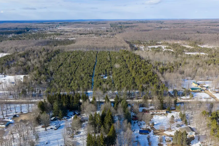 23444 Faylor Road, Copemish, MI 49625 - #2