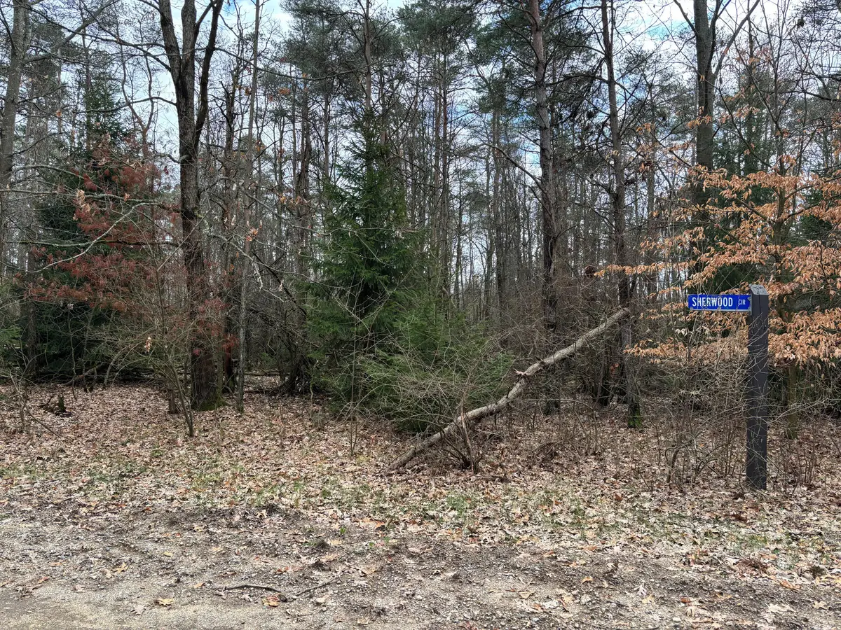 10181 Sherwood Circle #33, Canadian Lakes, MI 49346 - #1