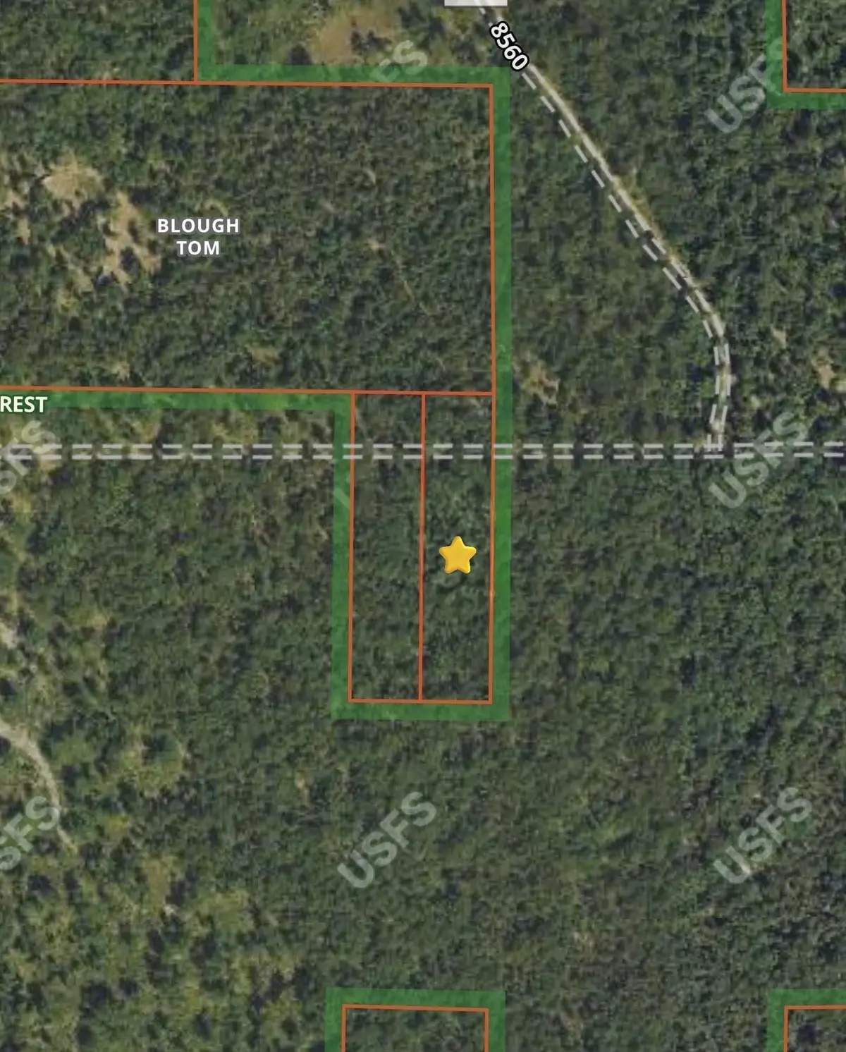 E Hoague Road, Free Soil, MI 49411 - #1