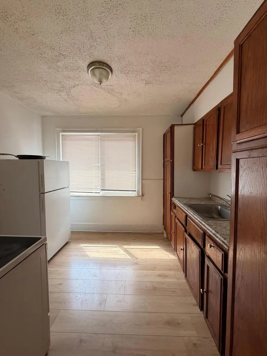 15794 Ohio Street, Detroit, MI 48238 - #2